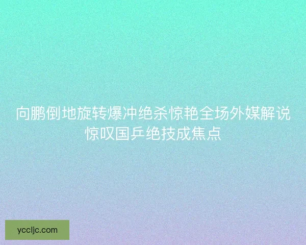 向鹏倒地旋转爆冲绝杀惊艳全场外媒解说惊叹国乒绝技成焦点